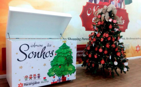 Árvore dos Sonhos" irá presentear, neste Natal, crianças e jovens do Instituto Mão Amiga